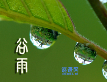 谷雨的谚语