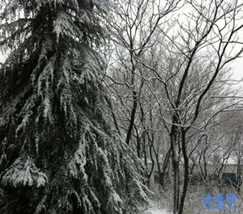 霜前冷 雪后寒