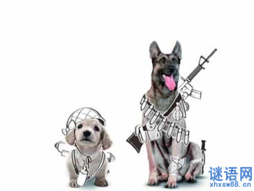 神犬奇兵三连台词