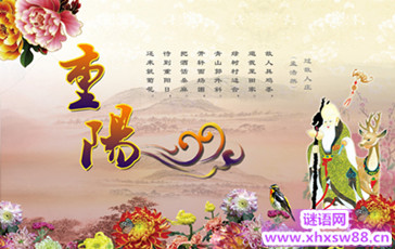 2014年社区重阳节活动方案