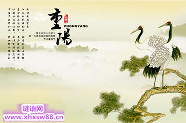 重阳节英语怎么说