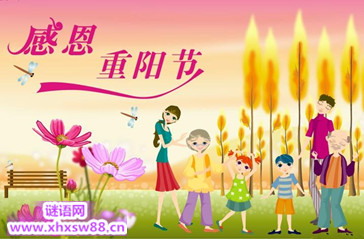 2014年重阳节敬老活动总结