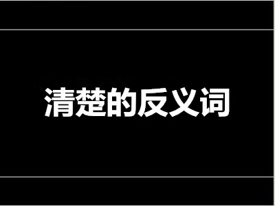 清楚的反义词是什么 标准答案