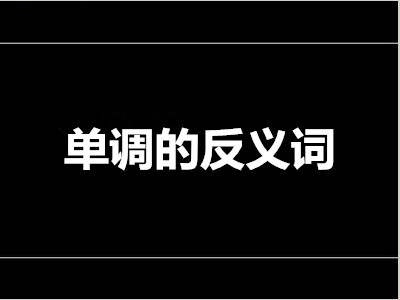 暂时的反义词是什么 标准答案