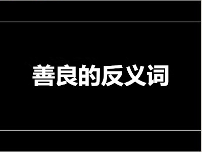 善良的反义词是什么 标准答案