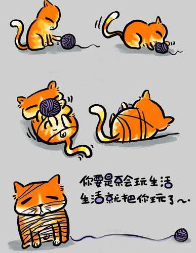 玩生活 毛毛猫经典个性搞笑语录