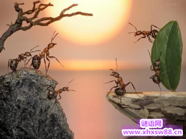 骂人的话大全 秒杀对方的骂人话