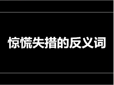 惊慌失措的反义词是什么