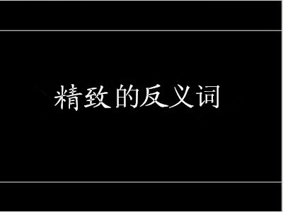 精致的反义词是什么 标准答案