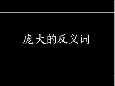 庞大的反义词是什么 标准答案