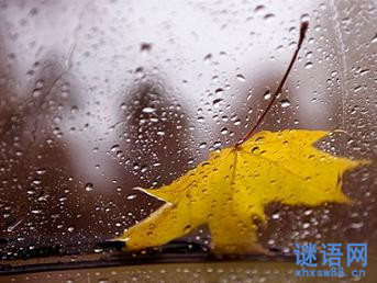谜底是雨的谜语_关于雨的谜语